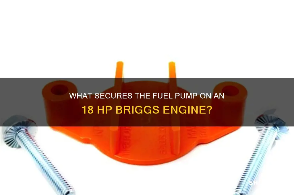 what holds fuel pump on 18 briggs