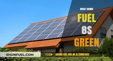 Eco-Friendly Home Fuel Options: Greener Alternatives for Sustainable Living