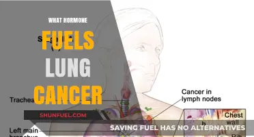 Unveiling the Hormonal Culprit Behind Lung Cancer Growth and Progression