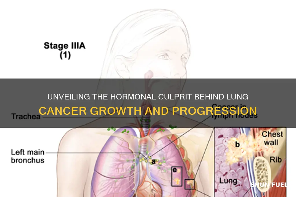 what hormone fuels lung cancer
