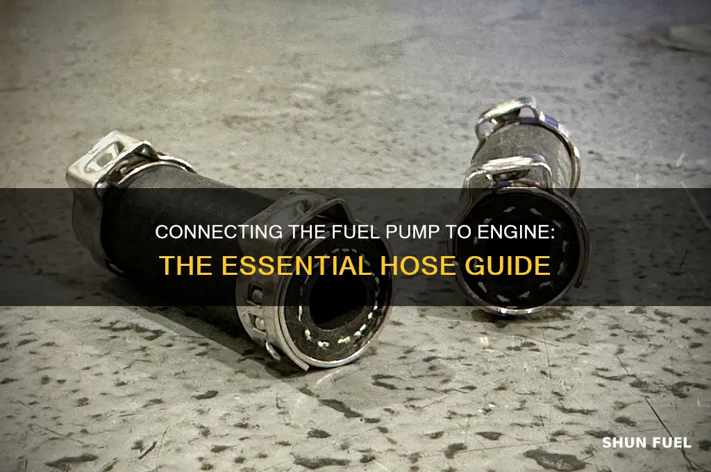 what hose connects the fuel pump to the engine