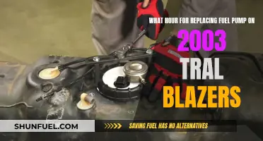 Replacing Fuel Pump on 2003 Trail Blazers: Hour-Long Fix