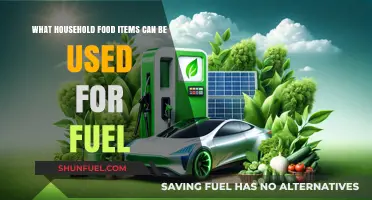 Creative Fuel Alternatives: Household Food Items to Power Your Home