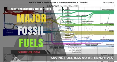 Understanding the Hydrocarbon Composition of Major Fossil Fuels: Coal, Oil, and Gas