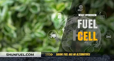 Understanding Hydrogen Fuel Cells: Clean Energy for a Sustainable Future