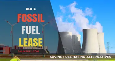 Understanding Fossil Fuel Leases: A Comprehensive Guide for Landowners