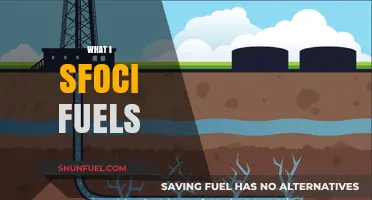 Understanding Fossil Fuels: Types, Uses, and Environmental Impact Explained