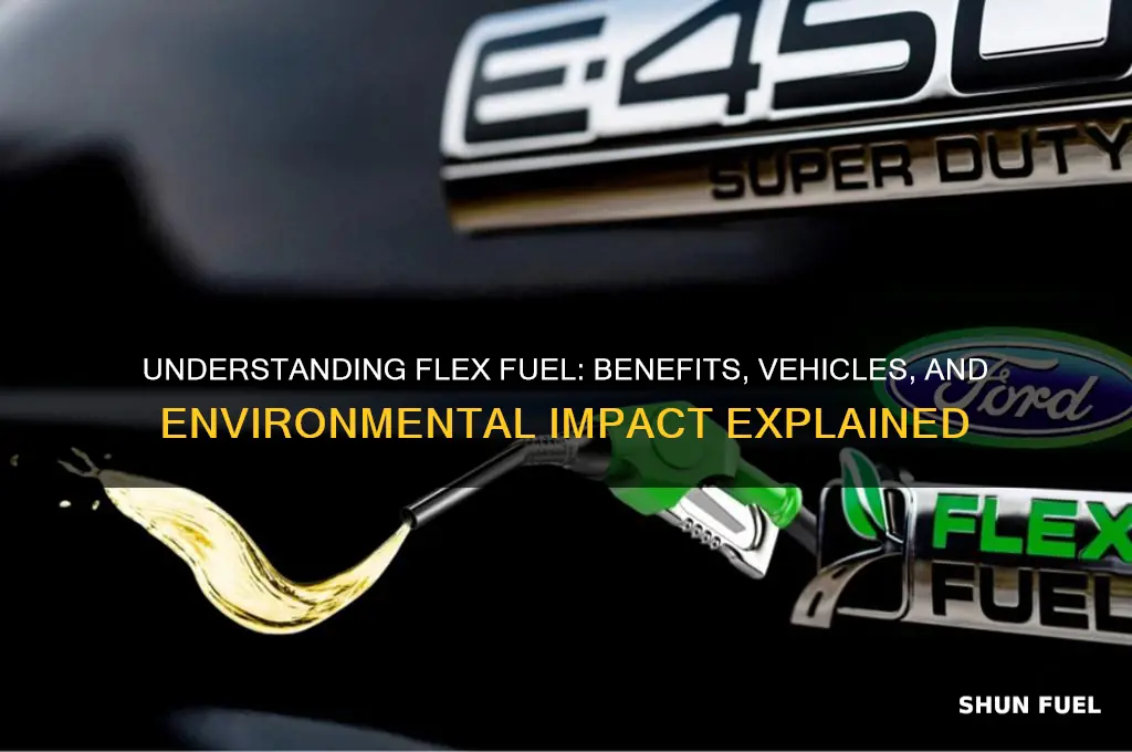what ia flex fuel