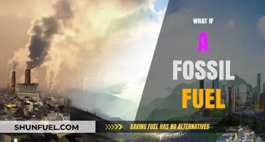 What If Fossil Fuels Disappeared? Exploring a World Without Oil