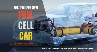 Fuel Cell Cars: A Sustainable Future for All?