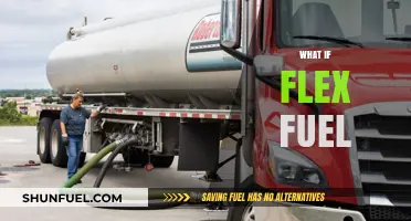 What If Flex Fuel: Revolutionizing Transportation and Energy Independence