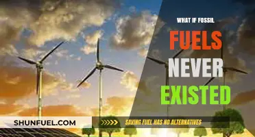 A World Without Fossil Fuels: Imagining an Alternative Energy Future