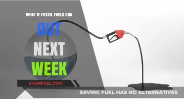 Fossil Fuels Gone: Surviving a Sudden Energy Crisis Next Week