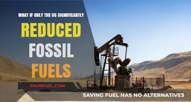 US Fossil Fuel Reduction: Global Impact and Uncertain Future