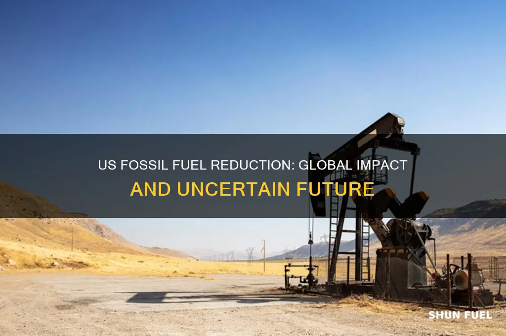 what if only the us significantly reduced fossil fuels