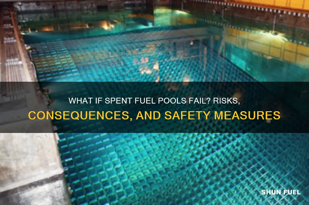 what if spent fuel pool