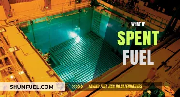 What If We Reimagined Spent Nuclear Fuel as a Resource?