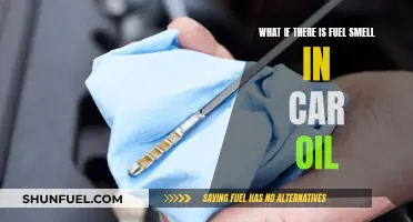 Car Oil Fuel Smell: What Could Be the Problem?