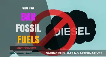 Banning Fossil Fuels: A Sustainable Future or Economic Disaster?