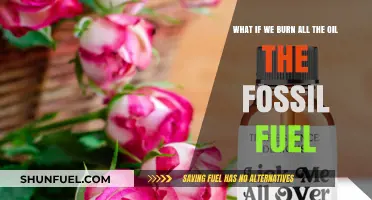 Burning All Oil: Climate Catastrophe or Inevitable Future?