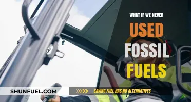 A World Without Fossil Fuels: Imagining a Sustainable Future