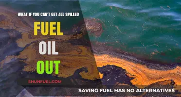Unremovable Fuel Oil Spills: Consequences and Cleanup Challenges Explained