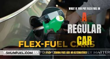 Flex Fuel in Regular Cars: What You Need to Know