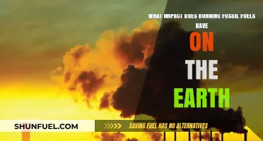 Burning Fossil Fuels: Devastating Impacts on Earth's Climate and Ecosystems