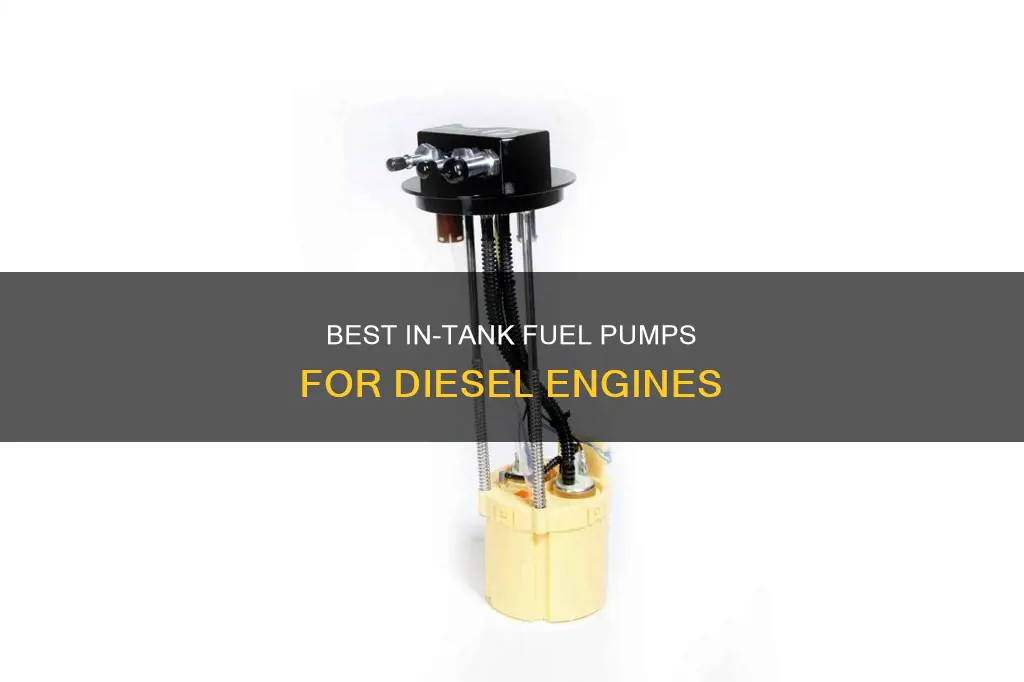 what in tank fuel pumps are rated for diesel