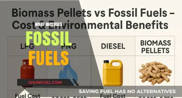 Understanding Fossil Fuels: Coal, Oil, and Natural Gas Explained