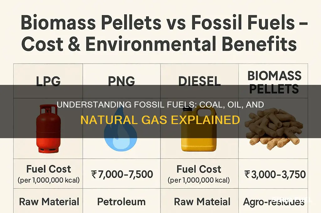 what includes fossil fuels