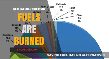 Burning Fossil Fuels: Rising Emissions, Warming Planet, and Environmental Impacts
