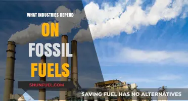 Fossil Fuels: Powering Key Industries and Shaping Global Economies