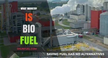 Exploring the Biofuel Industry: Sustainable Energy and Its Market Impact