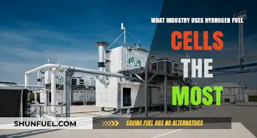 Hydrogen Fuel Cells: Top Industry Applications and Dominant Sectors