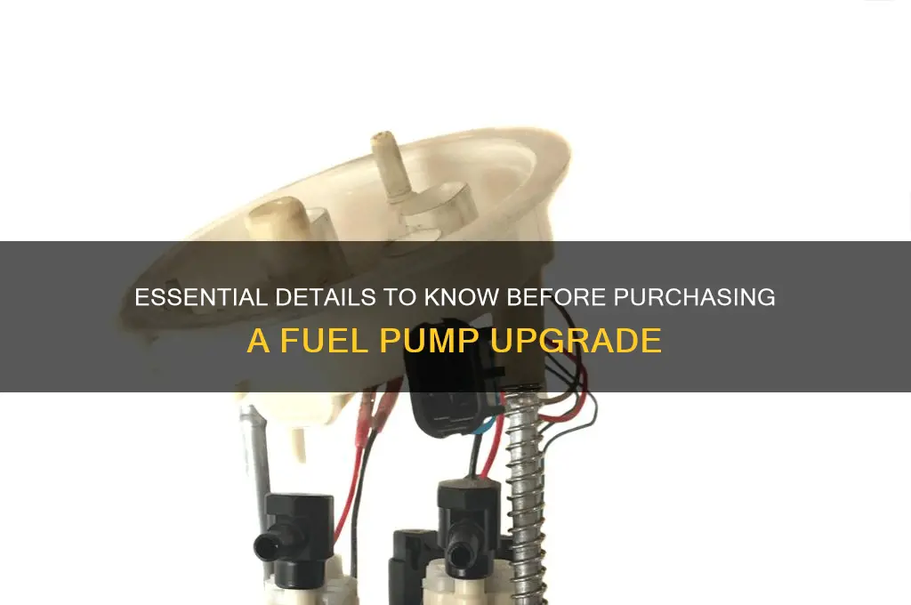 what information do i need when getting a fuel pump