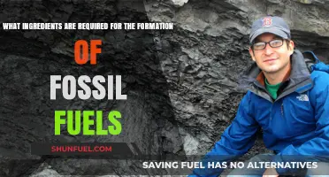 Essential Ingredients for Fossil Fuel Formation: A Comprehensive Guide
