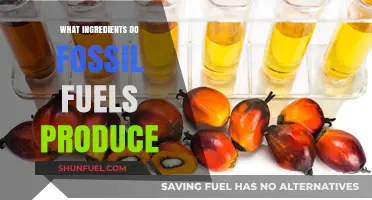 Unveiling Fossil Fuels: Key Ingredients and Their Industrial Applications