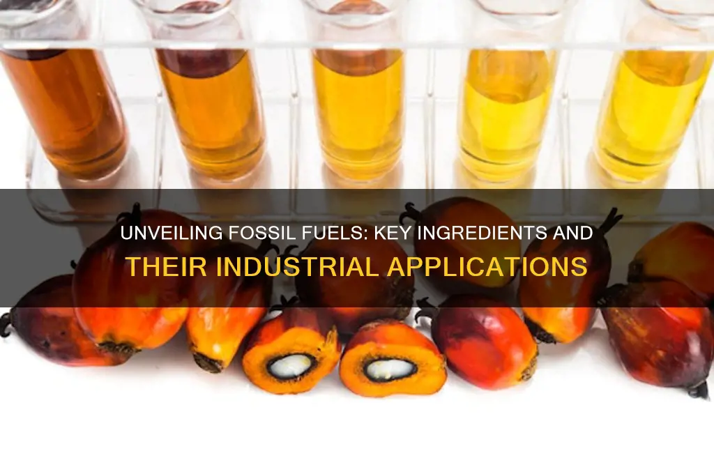 what ingredients do fossil fuels produce