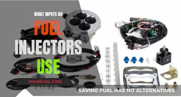 Fuel Injector Inputs: What Do They Need to Run?
