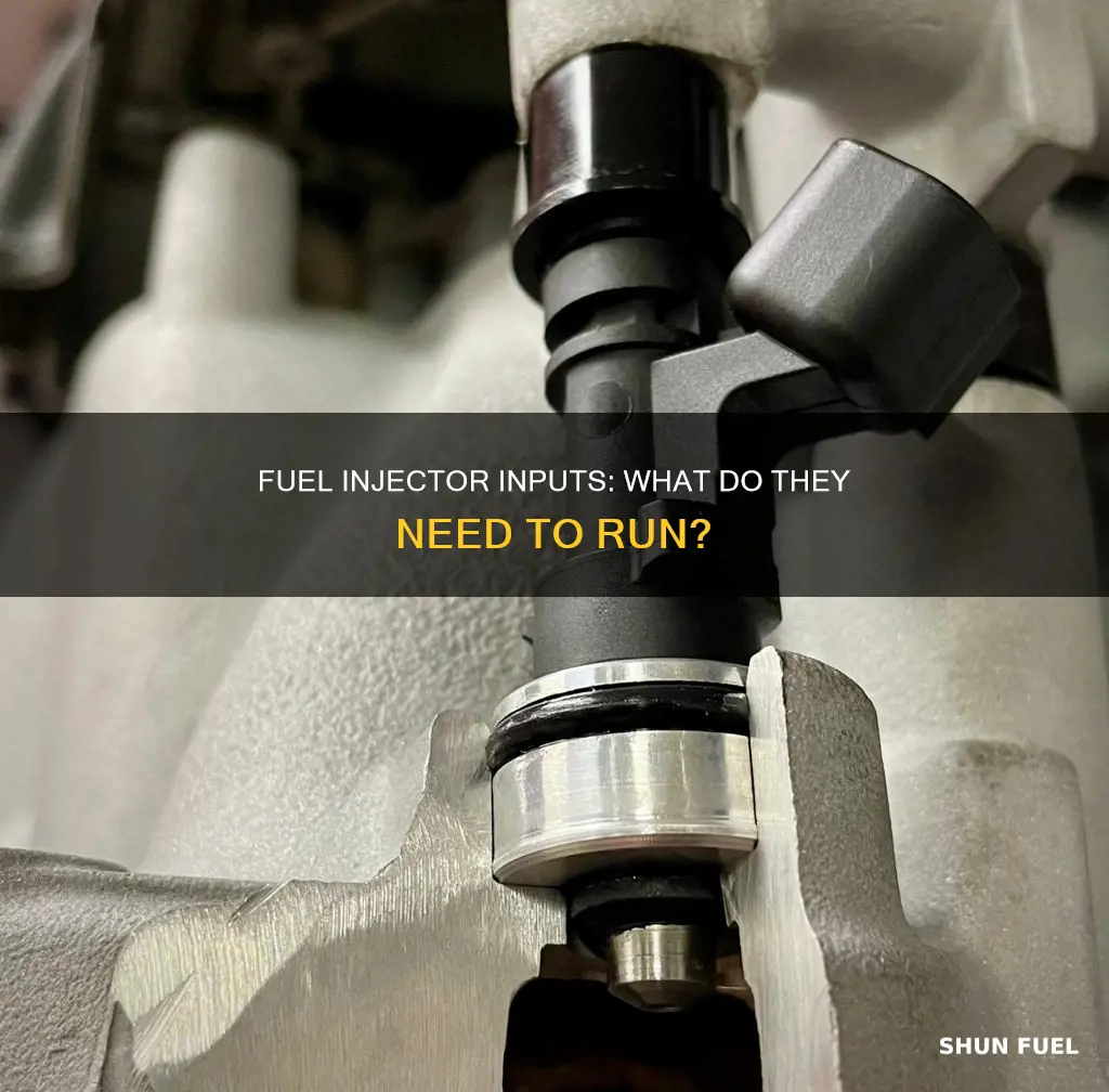 what inputs do fuel injectors use