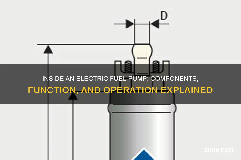 what inside a electric fuel pump