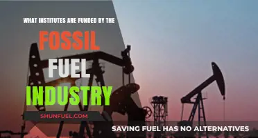 Fossil Fuel Industry Funding: Unveiling Institutes Receiving Financial Support