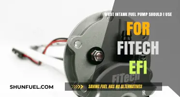 Best In-Tank Fuel Pump Options for FiTech EFI Systems