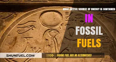 Unveiling the Ancient Sun's Power: Fossil Fuels' Energy Origin