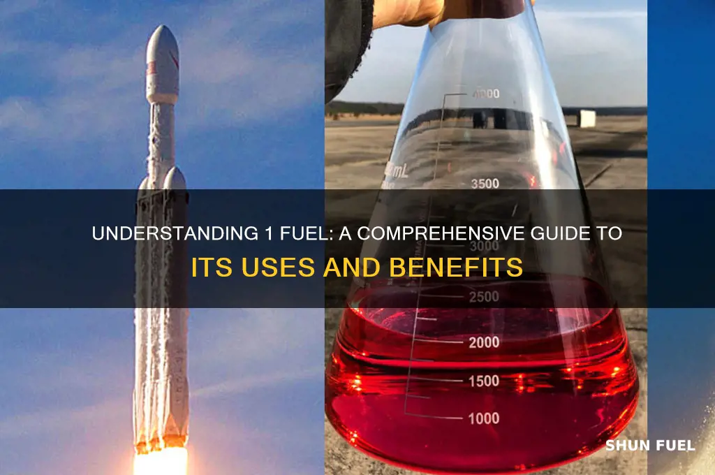 what is 1 fuel