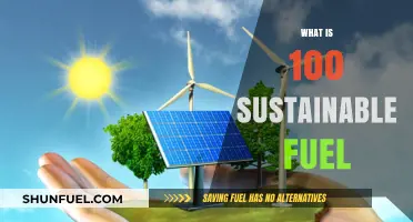 Exploring Fully Sustainable Fuel: A Comprehensive Guide to Clean Energy