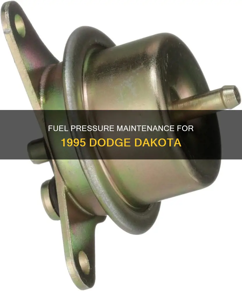 what is 1995 dodge dakota fuel pressure