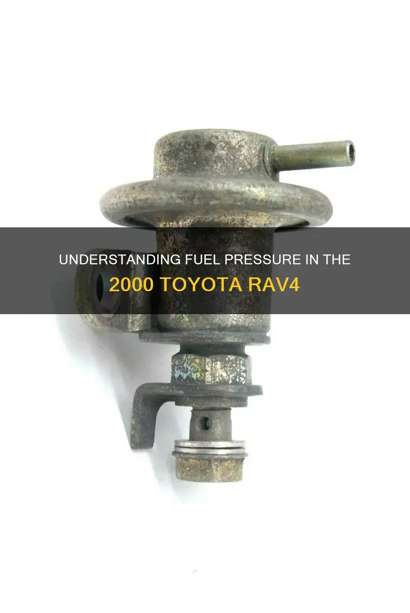 what is 2000 rave 4 fuel pressure