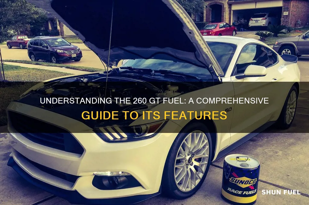 what is 260 gt fuel